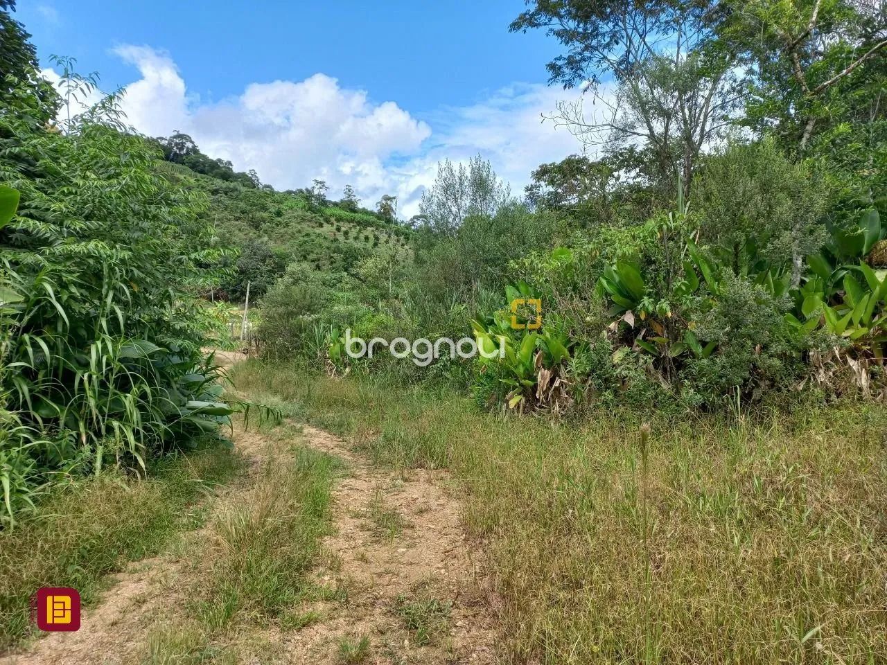 Terreno à venda em Águas Mornas - Foto 5