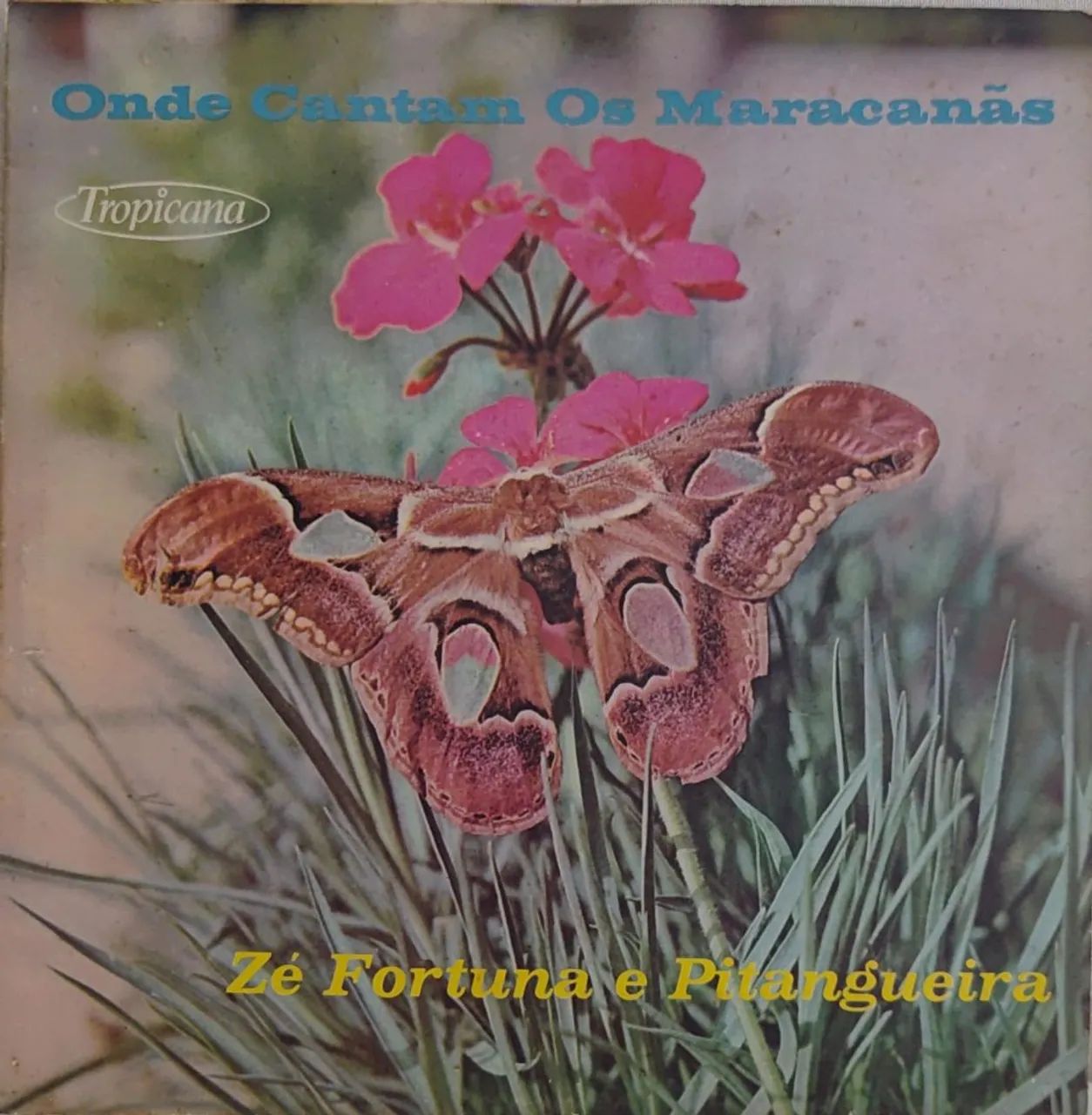 Disco de Vinil Zé Fortuna e Pitangueira