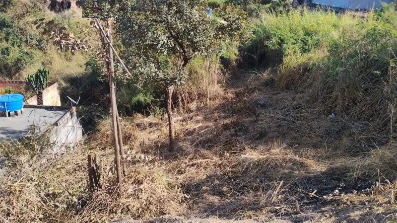 LOTE DE 250 M2 COM AGUA E LUZ - Foto 2