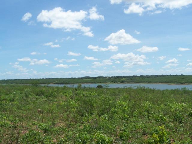 Vendo Fazenda em Poço Branco - Foto 5