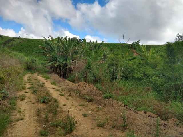 Fazenda com 180 Hectares a 8 km da Pista de Cortês-PE - Foto 7