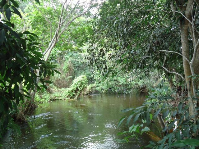 Vendo Fazenda em Ceará Mirim - Foto 17