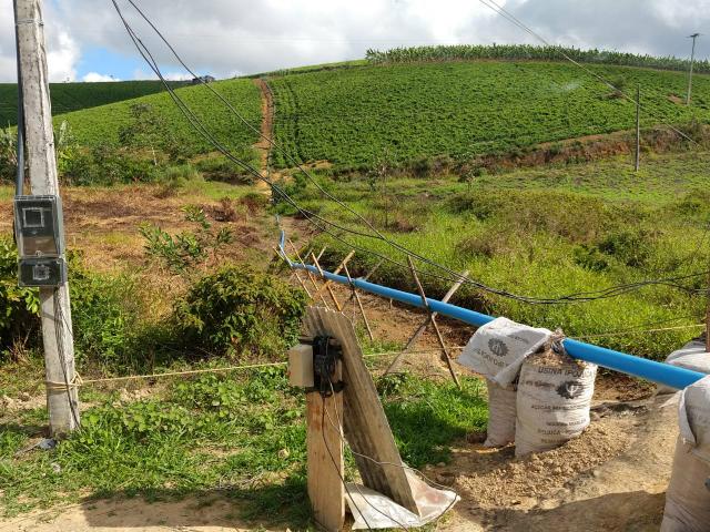 Fazenda com 180 Hectares a 8 km da Pista de Cortês-PE - Foto 13
