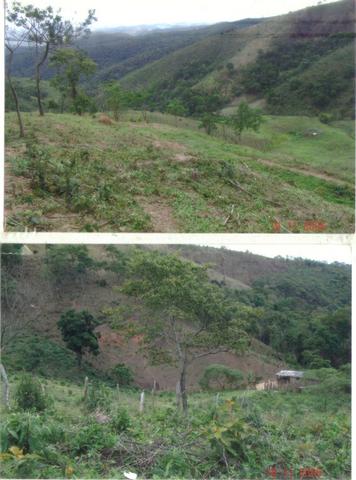 Fazenda 97 Alqs Na Região do Vale do Paraíba SP Negocio de oportunidade - Leia o anúncio - Foto 4