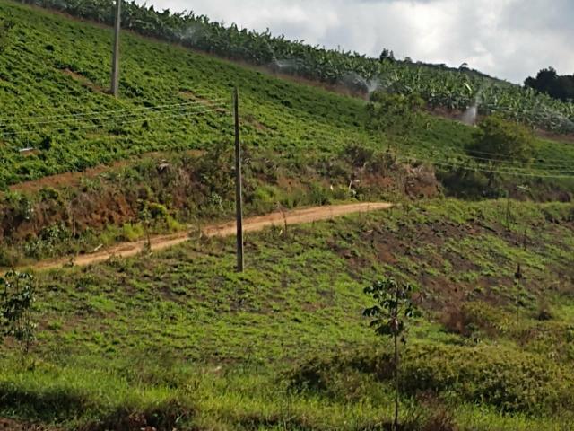 Fazenda com 180 Hectares a 8 km da Pista de Cortês-PE - Foto 8