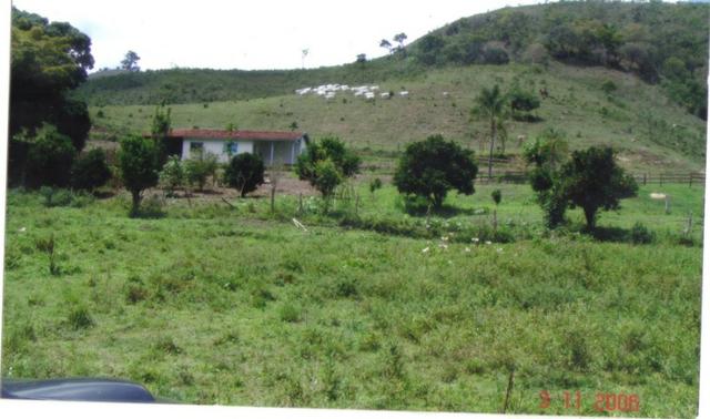 Fazenda 97 Alqs Na Região do Vale do Paraíba SP Negocio de oportunidade - Leia o anúncio - Foto 5