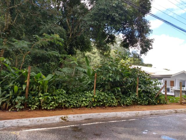Lote 1.300m2 na Avenida Principal de Santa Isabel em Domingos Martins - Foto 5
