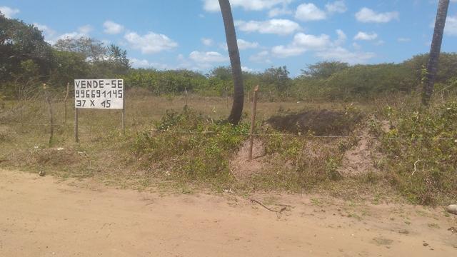 Terreno em Extremoz - Foto 3