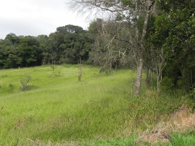 Agt-ótimo terreno para construir chacará na região de Mairiporã - Foto 9