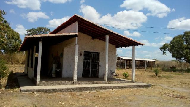 Propriedade Rural/São Gonçalo do Piauí - Foto 5