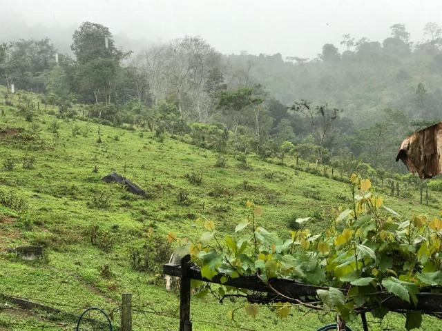 Vende-se Fazenda no Boqueirão de Itajuru - BA - Foto 3