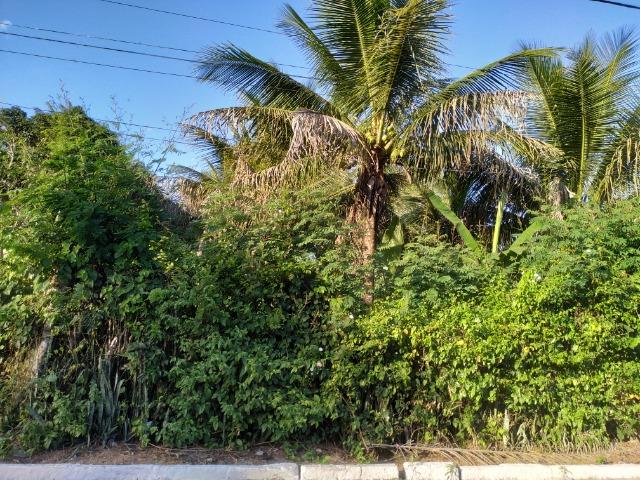 Sítio na Vila Temão - Jitaúna - Foto 18