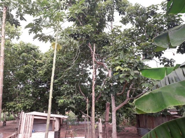 Vende-se uma chácara com 2 casas 2400m2 - Foto 15