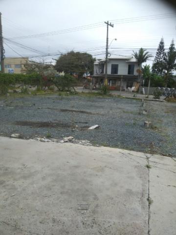 Terreno para alugar em Meia praia, Navegantes cod:TE00046 - Foto 20