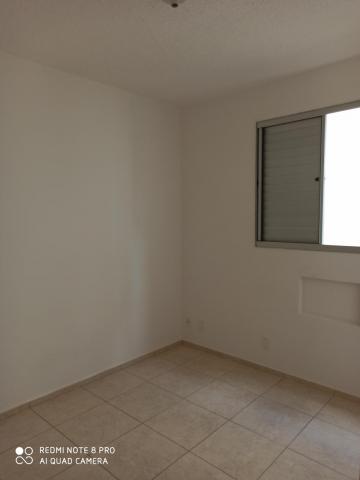 Apartamento para alugar com 2 dormitórios em Jardim nunes, Sao jose do rio preto cod:L7294 - Foto 8