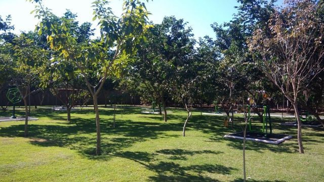 Terreno - Foto 11