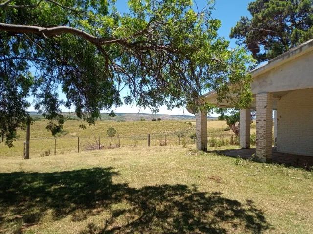 Fazenda 432ha Pecuária e Cultivos em Herval RS - Foto 7
