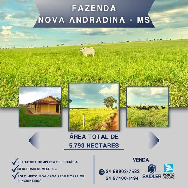 Faz em Nova Andradina-MS, 5.793 hectares.