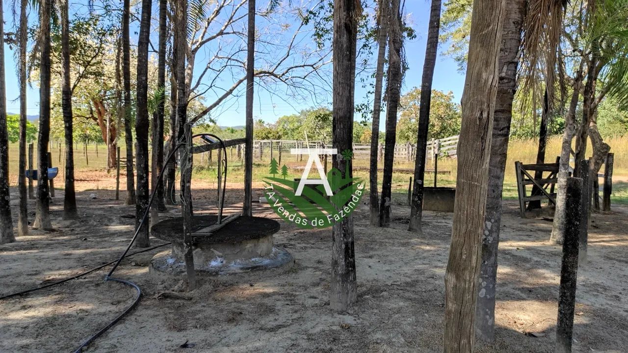 Fazenda no Faina GO 38 alq - Foto 3