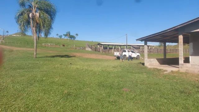 Fazenda  de Pecuaria   289 alqueires  - Foto 5