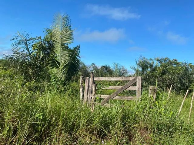 Fazenda em Itapecuru Mirim do Maranhão - Foto 2