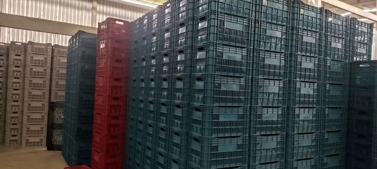 Promoção Final de ano Caixas plásticas novas organizadora , empilháveis em geral - Foto 3