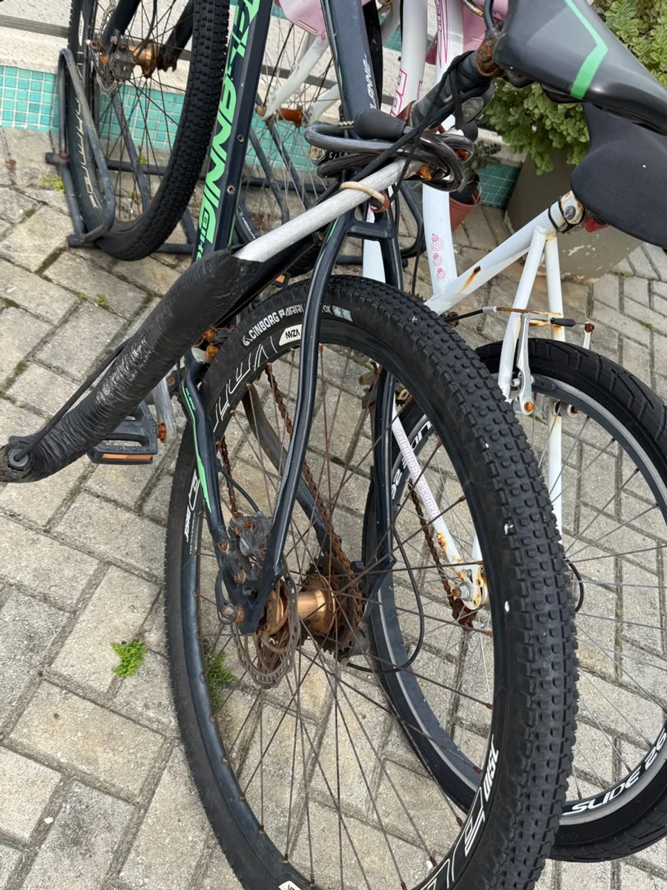 Bicicletas aro 29 com suporte para prancha de surf