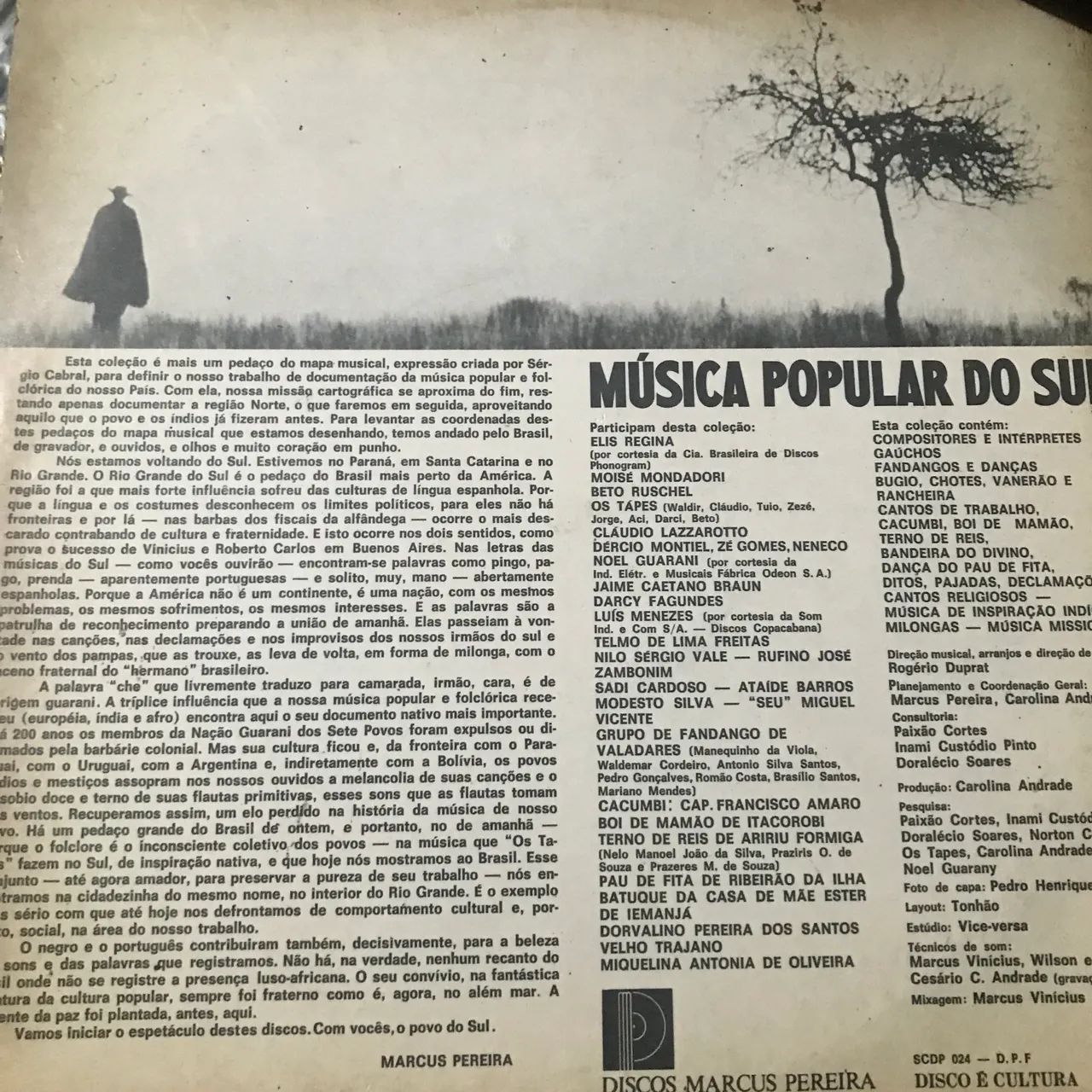 Lp disco de vinil mpb do sul 1975 raro elis - Foto 2