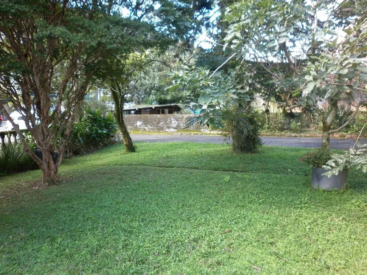 Alugo Bingen casa comercial - Foto 4