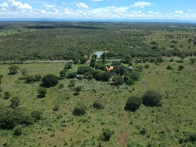 147 Hectares Fazenda - GO 114, Flores de Goias - GO Brasil