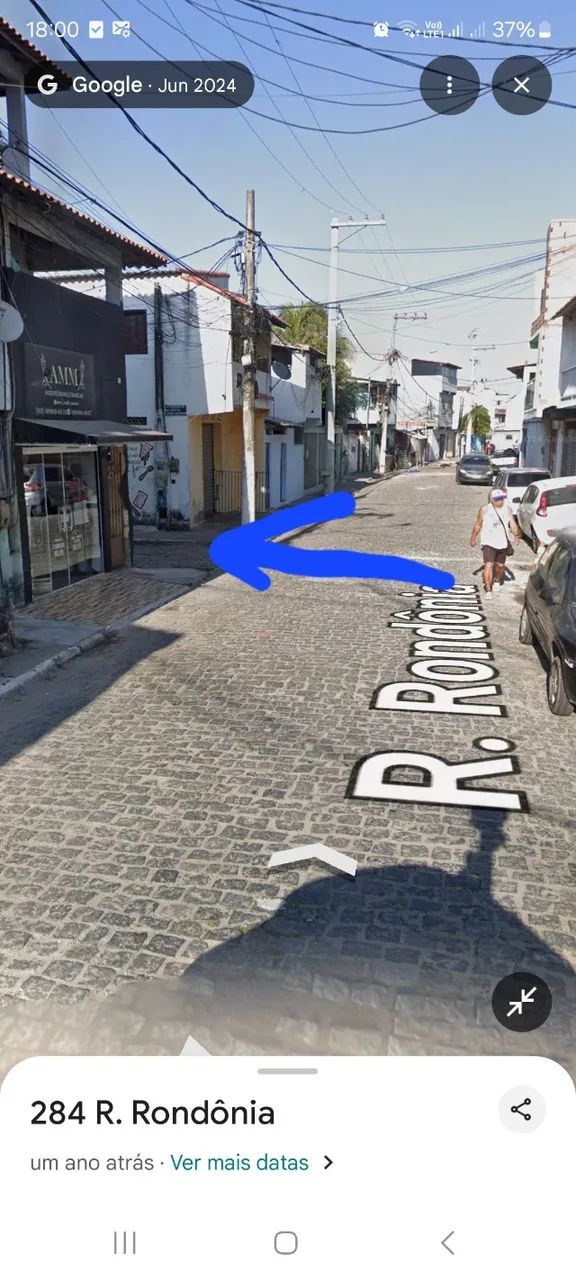 Foto - Cabo Frio - Palmeiras