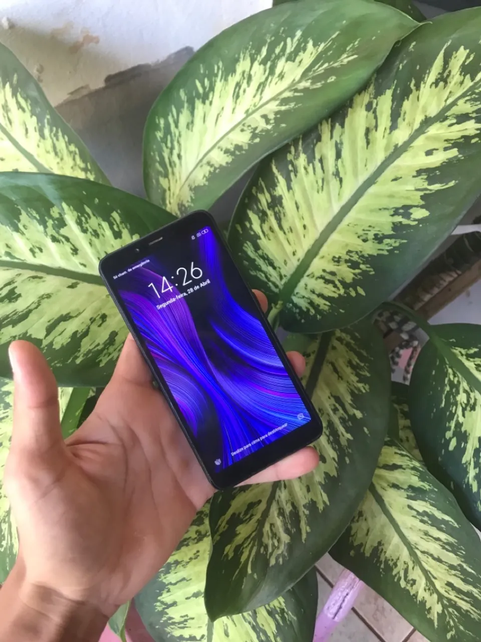 Celulares baratos Redmi 32gb