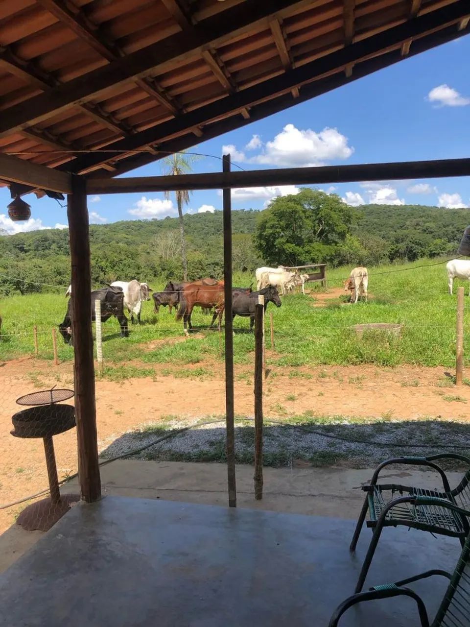 Ótima chácara entre Itaberai e Goiaz  - Foto 3