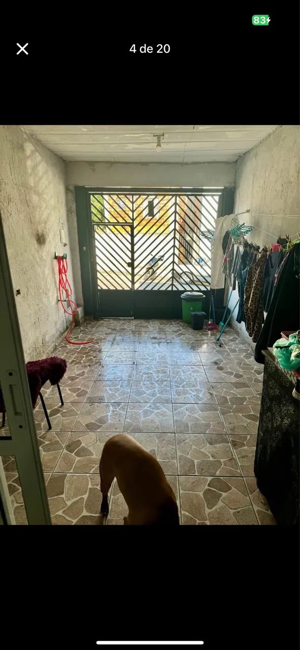 Foto - São Paulo - Jardim Joana D'Arc