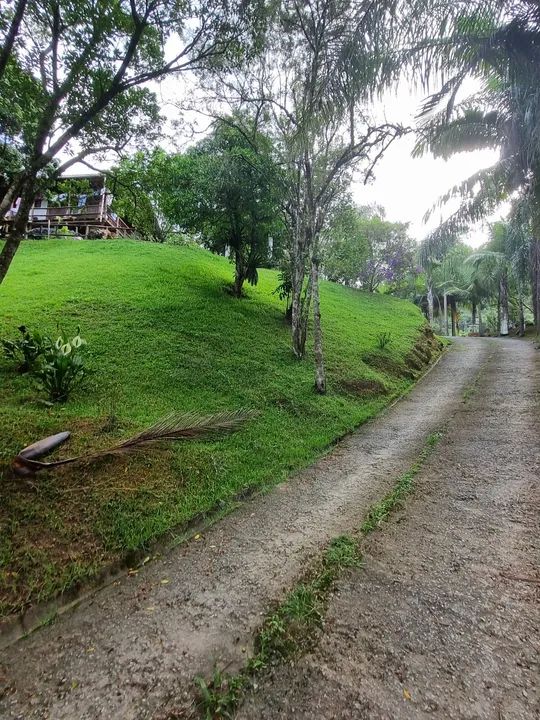 Sítio com 30 mil m² * Ótima localização  - Foto 2