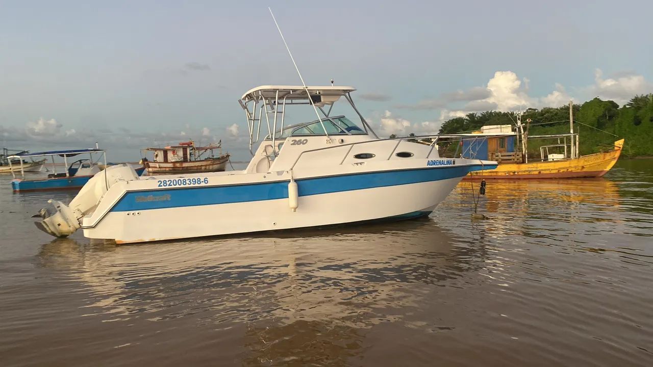 Wellcraft WA 260 - Foto 7