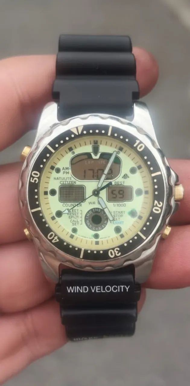 Citizen C401 Natulite