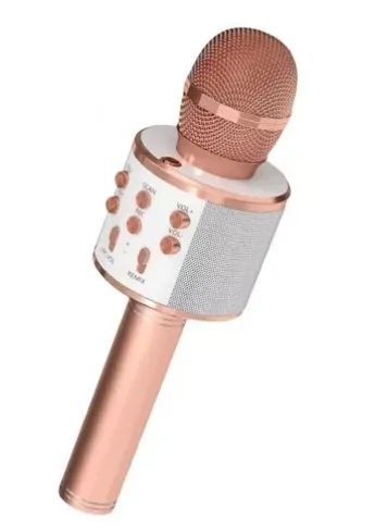 Microfone Karaoke Infantil (Entrega)