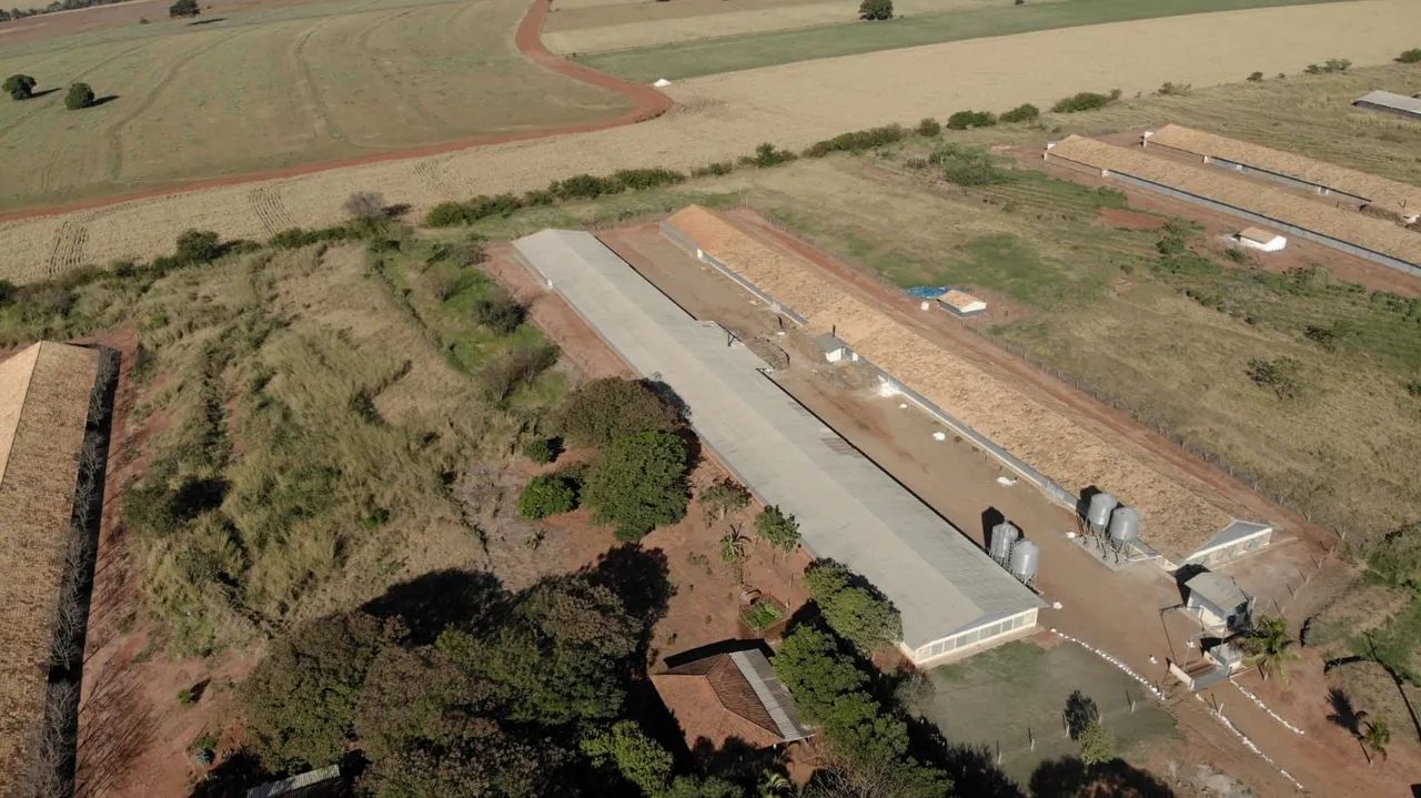Granja já pronta  - Foto 4