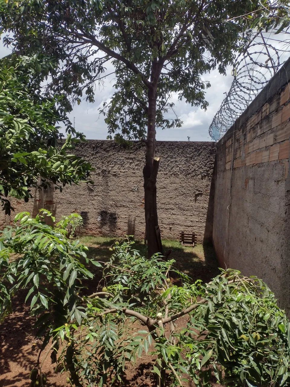 Foto - Aparecida de Goiânia - Residencial Andrade Reis