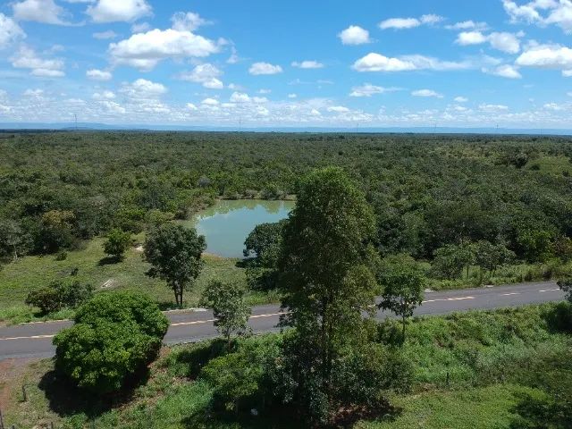 147 Hectares Fazenda - GO 114, Flores de Goias - GO Brasil - Foto 2
