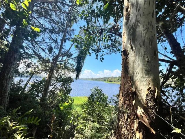 Chacara em Mogi das Cruzes para locação - Foto 8