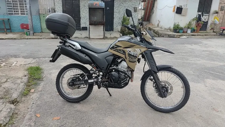 XTZ - Lander 2021