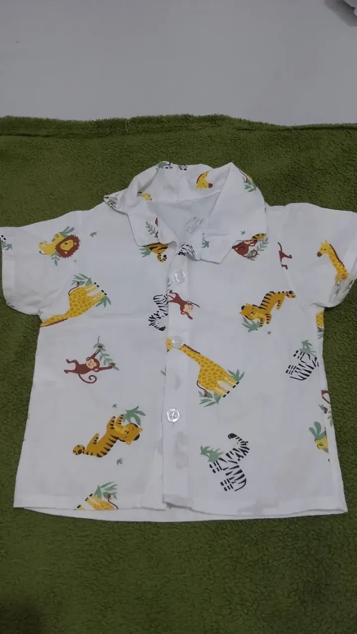 Camisa64309622265217123
