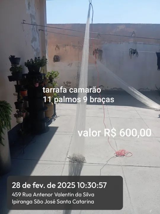 Vendo tarrafas - Foto 6