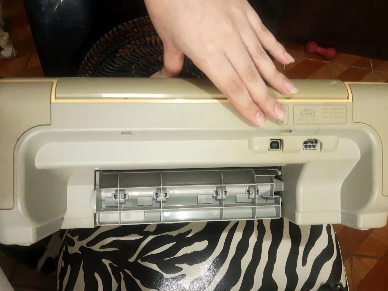 HP Printer442876823875112962