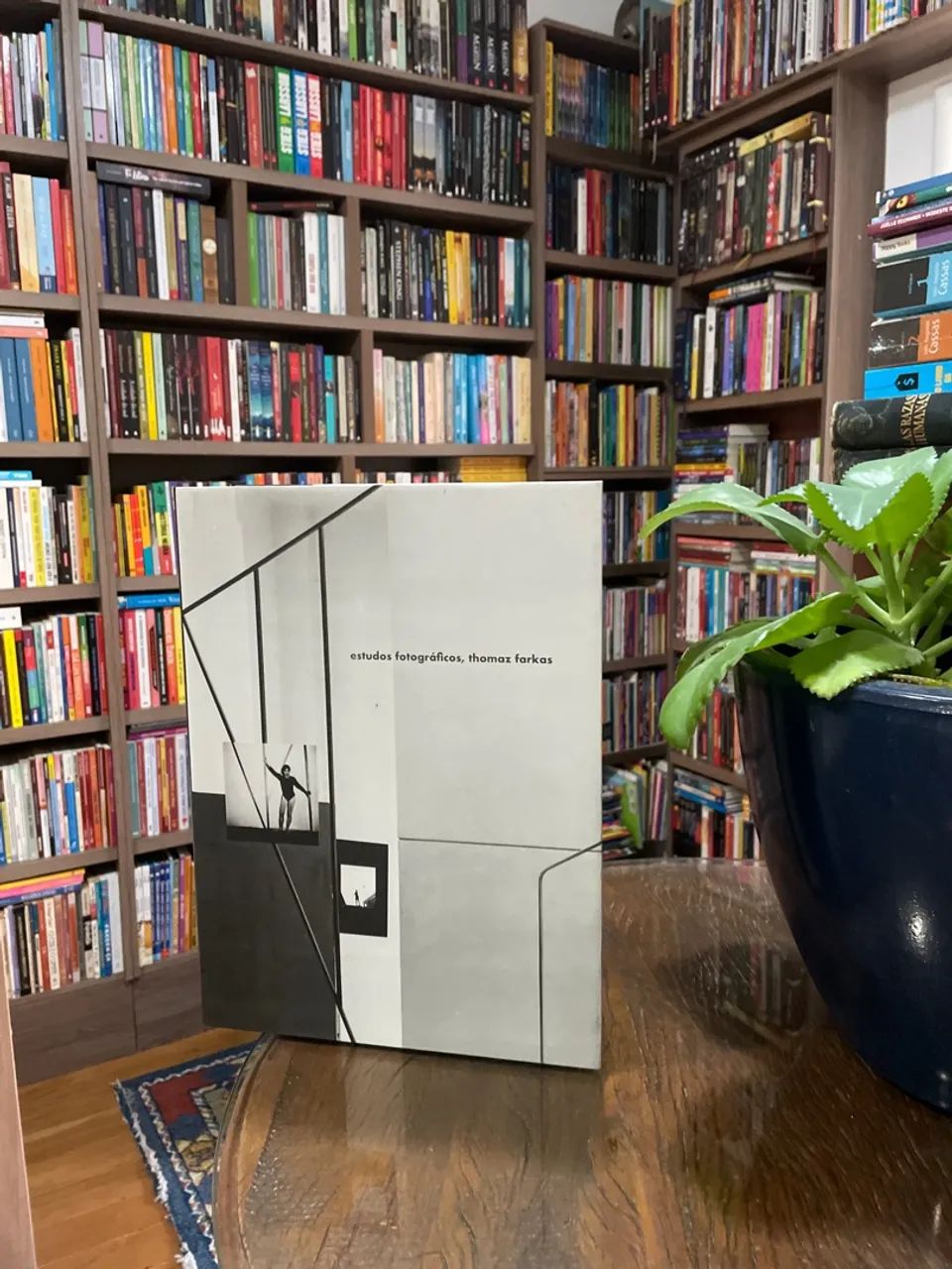 Estudos Fotográficos, Thomas Farkas