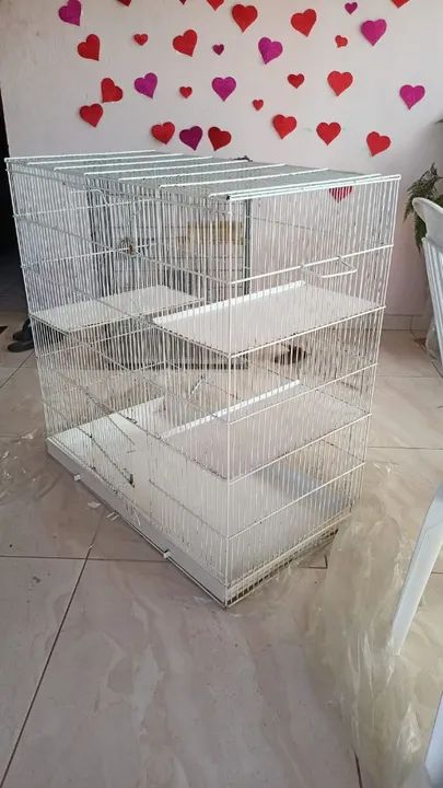 Gaiola Ipanema para Chinchilas e twisters 