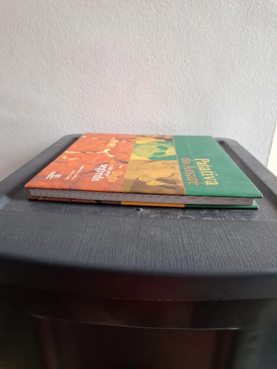 Digo e Não Peço Segredo - Foto 5