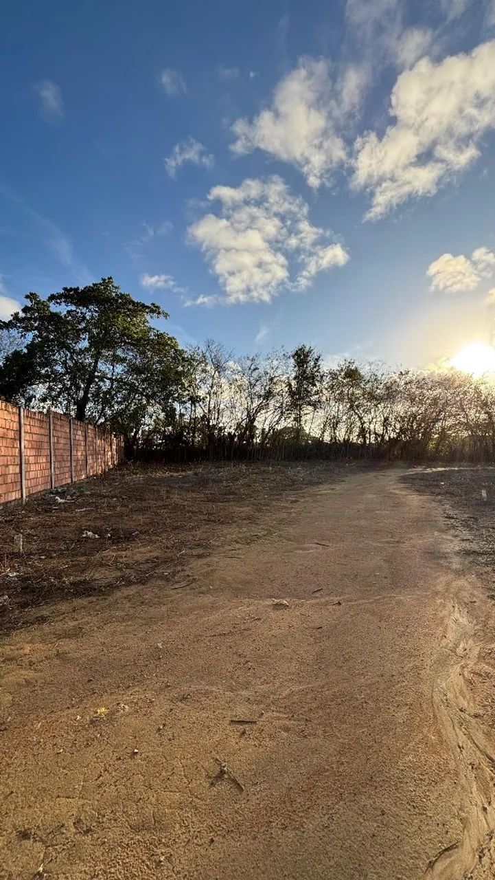 Foto - Maceió - Jacarecica
